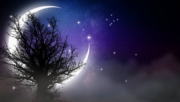 beautiful moon, starry night, night fantasy digital art background.