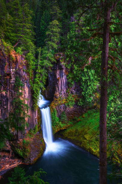 istock Toketee Falls in Douglas County, Oregon 1485710332
