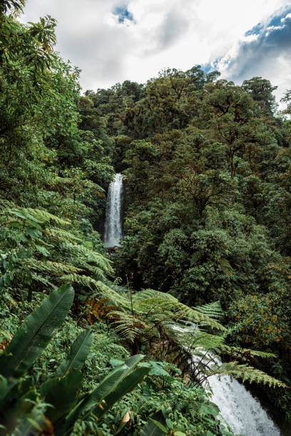 istock upper La Paz waterfall in Costa Rica 1485712064