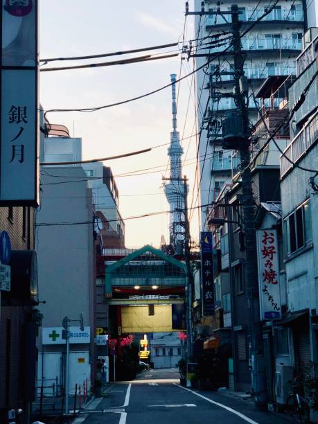 istock Tokyo Skytree in Early Morning 1485714182