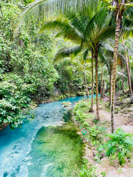 istock Turquoise stream before a waterfall in Oslob, Cebu 1485714760
