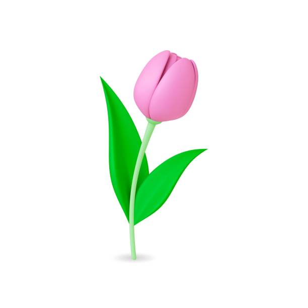 istock Flower tulip 3d decorative. Isolated floral graphic element, trendy plasticine imitation style. Vector nature icon for gift, ad or design 1485717057