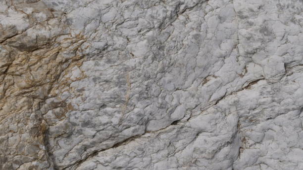 istock white calcareous rock with brown veins 1485722041
