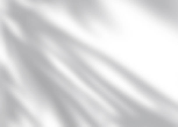 Silhouette Leaves Shadow on white background, Illustration isolated transparent of Shadow leaf overlay on Wall,Concept for elements design decoration for Spring, Summer Backdrop Background