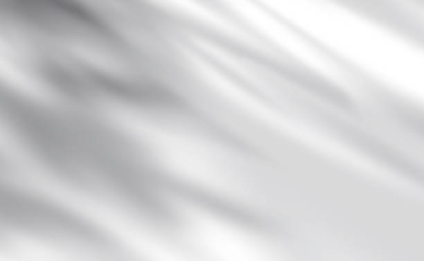 istock Silhouette Leaves Shadow on white background, Illustration isolated transparent of Shadow leaf overlay on Wall,Concept for elements design decoration for Spring, Summer Backdrop Background 1485729606