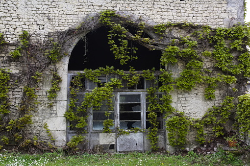 An old archway covered in overgrown vines with broken doorway