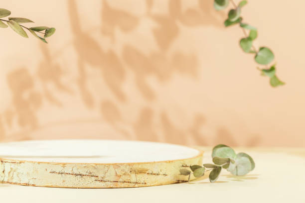 istock Closeup empty product display on pink background with green eucalyptus leaves 1485737321