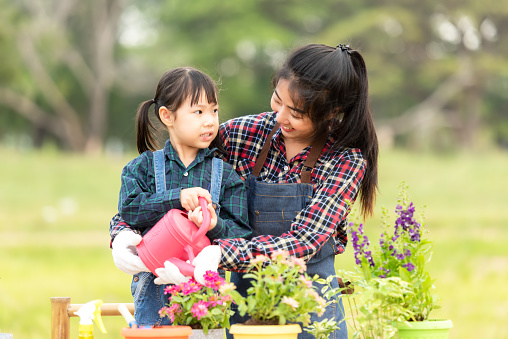 Asian  kid daughter helping mother water and sapling  the plant tree outdoors in nature spring for reduce global warming growth feature and take care nature earth.  Environment Concept