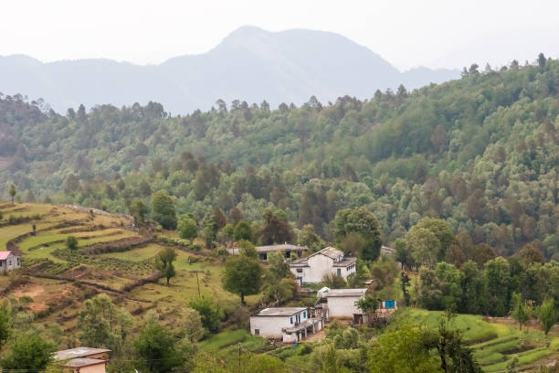 istock Aerial view of the terraced rice fields 1485741660
