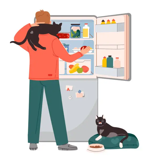 Vector illustration of Pet owner. The man opened the fridge with food and feeds the cats. Hungry man checking refrigerator with food. Flat vector illustration.