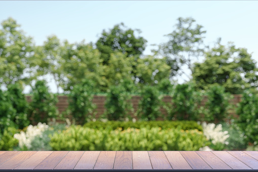 Empty Wooden Surface With Defocused Garden At Background. 3D Rendering