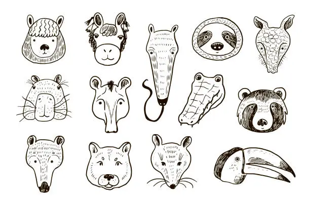 Vector illustration of Animals of South America funny faces vector illustrations set.