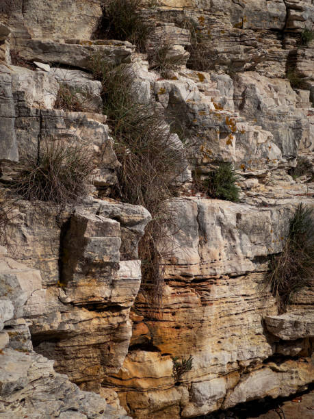 istock A close up of a rocky background, rough texture 1485757987