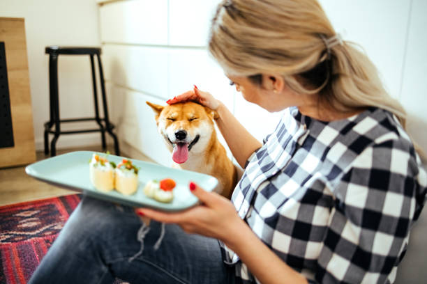 istock Morning with my pet in our kitchen 1485763852