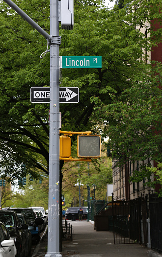 street sign in brooklyn, new york city united states.  green tree background, traffic light and one way sign.  neighborhood scene from crown heights, prospect heights.