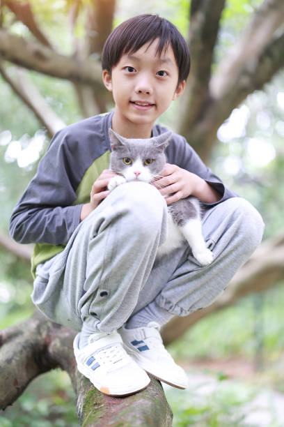 istock Little boy and his cat 1485766560