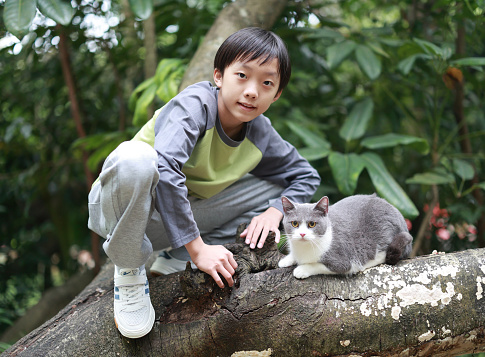 Boy up on a tree in the garden, along with an cat