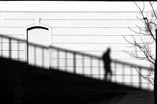 Shadow on a facade wall of a person walking down the stairs and a bare tree, in black and white