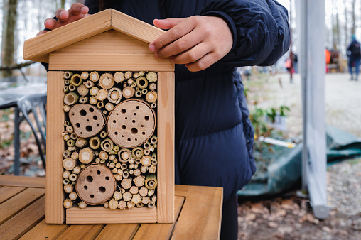 Hands holding wooden insect house. Wooden insect hotel on table. Animal shelter.