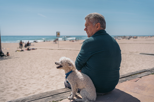 Gray-haired man sitting on his back next to his white curly-haired dog in front of the beach facing the same side.
