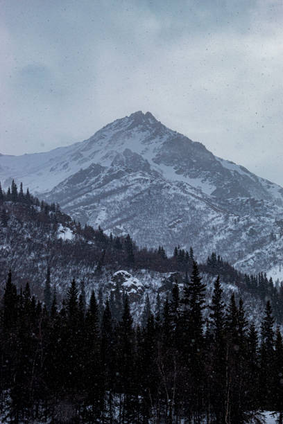 istock Alaska winter landscape 1485778373