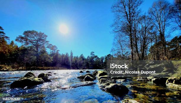 A Walk In Glen Affric Stock Photo - Download Image Now - Cloud - Sky, Color Image, Forest