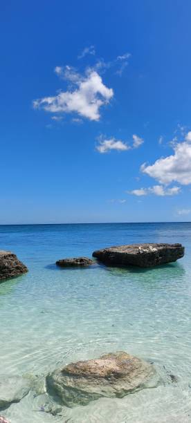 istock Vertical photo of beach with beautiful blue sky 1485784660
