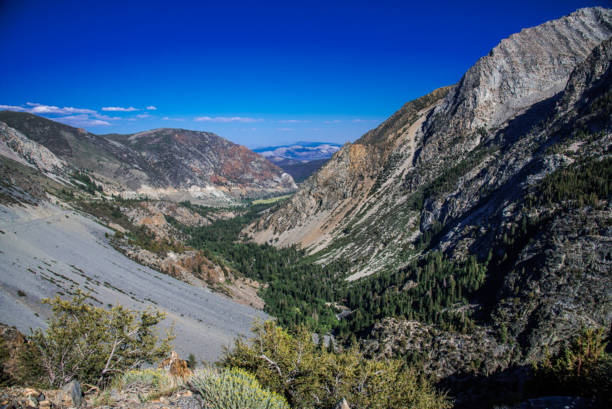 istock Eastside of Yosemite Oh the Views 1485785021