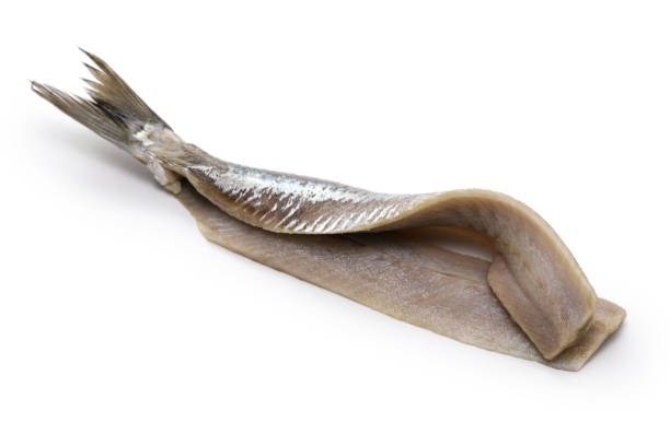 istock homemade pickled young herring fillet ( matjes ) 1485786105