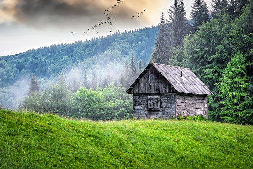 Wooden abandoned cabin in summer mountains, Crane birds in the sky