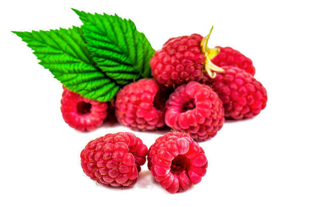 istock Sweet ripe raspberries on white 1485791981