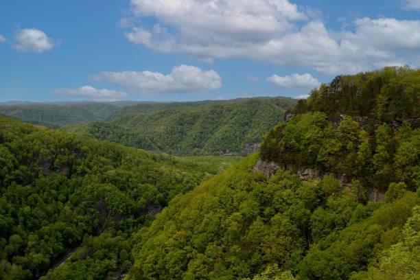 istock Mountains Of Eastern Kentucky 1485792089