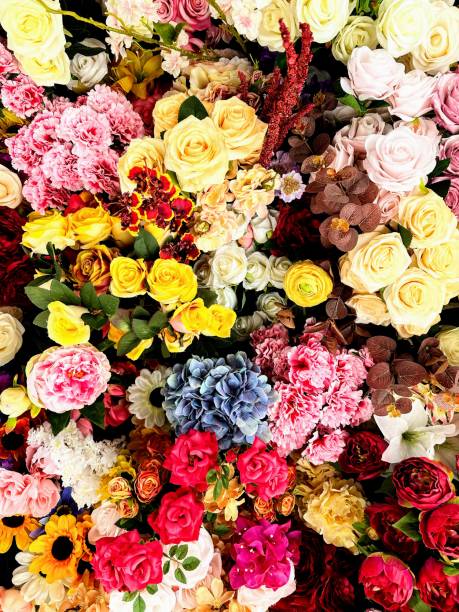 istock Flowers in San Francisco 1485792329
