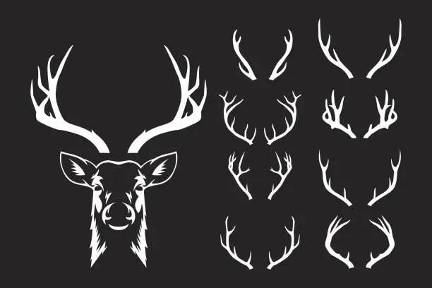 Vector illustration of Vector Reindeer Horns, Antlers. Deer Horn Silhouettes. Hand Drawn Deers Horn, Antler Set. Animal Antler Collection. Design Elements of Deer. Wildlife Hunters, Hipster, Christmas and New Year concept