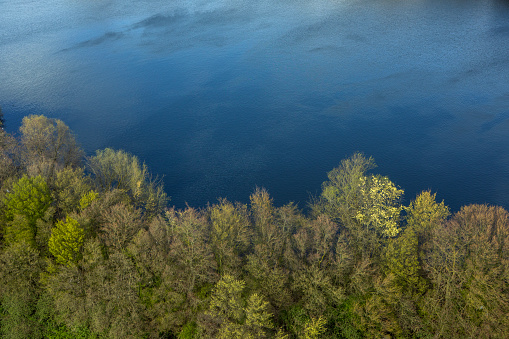Dutch elevated view of forest and water