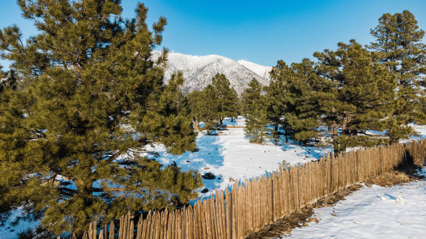 istock Flagstaff Arizona winter park mountain snow forest drone from air 1485803836
