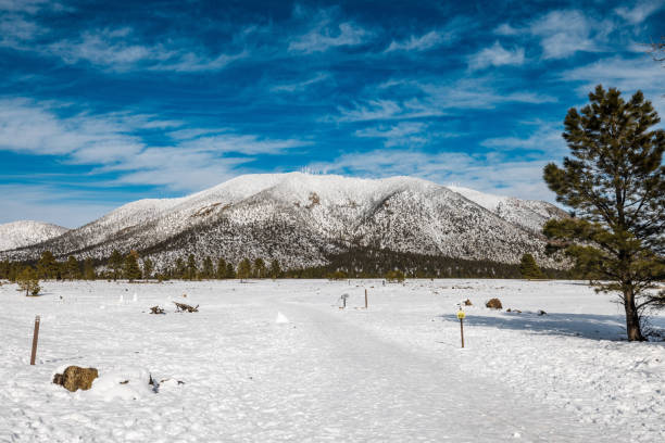 Flagstaff Arizona winter park mountain snow forest travel hiking trails hike trail
