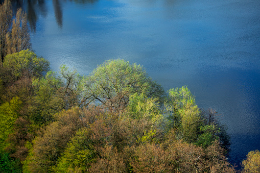 Dutch elevated view of forest and water