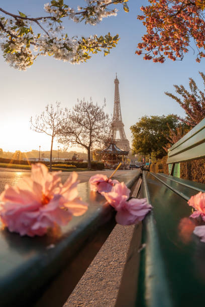istock Eiffel Tower during beautiful spring time in Paris, France 1485808290