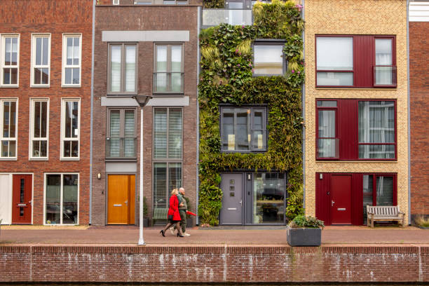 istock Sustainable green housing in the Netherlands 1485808440