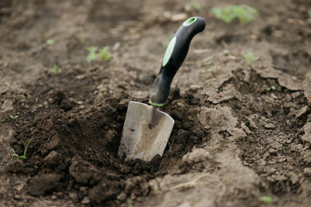 istock gardening tools vegetable garden land 1485808514