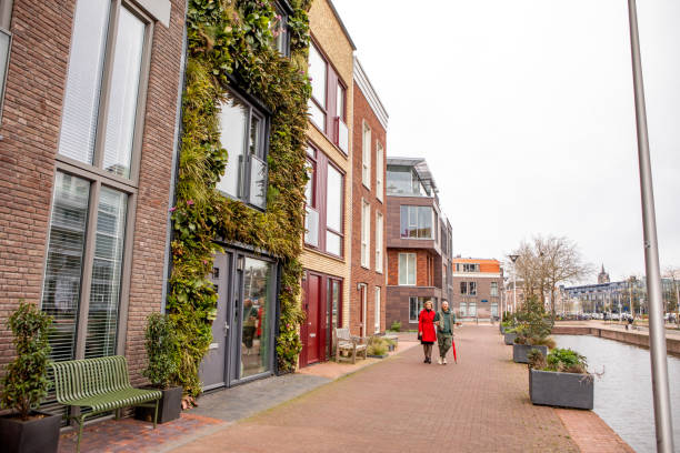 istock Sustainable green housing in the Netherlands 1485808745