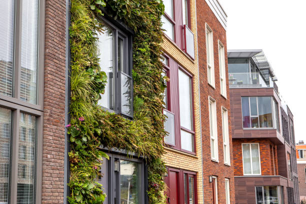 istock Sustainable green housing in the Netherlands 1485809161