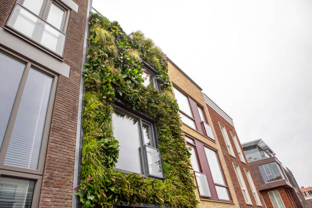 istock Sustainable green housing in the Netherlands 1485809240