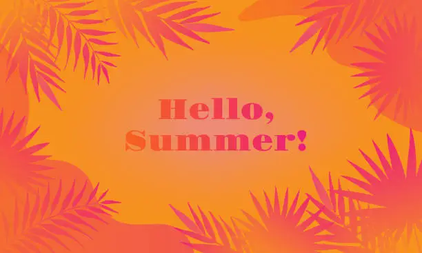 Vector illustration of Hello Summer background with palm leaves for Summertime graphic design.