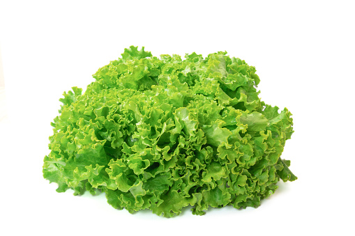 salad isolated on a white background