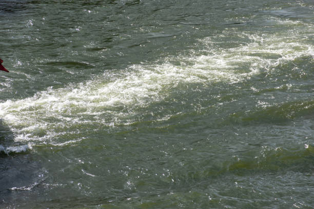 istock Footprints on the water from a motor boat 1485827000