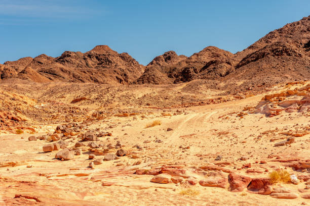 istock Desert with mountains. Sinai, Egypt. 1485828134