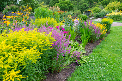 Summer garden with blooming of different flowers and a well-groomed green lawn.
