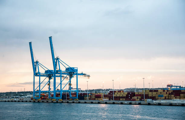 istock Cranes and containers in industrial port 1485828598